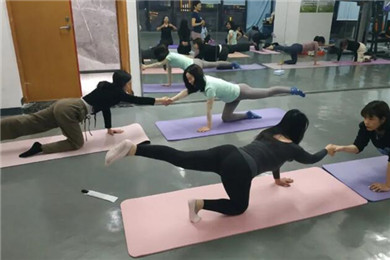 疯狂森林员工瑜伽活动圆满举行